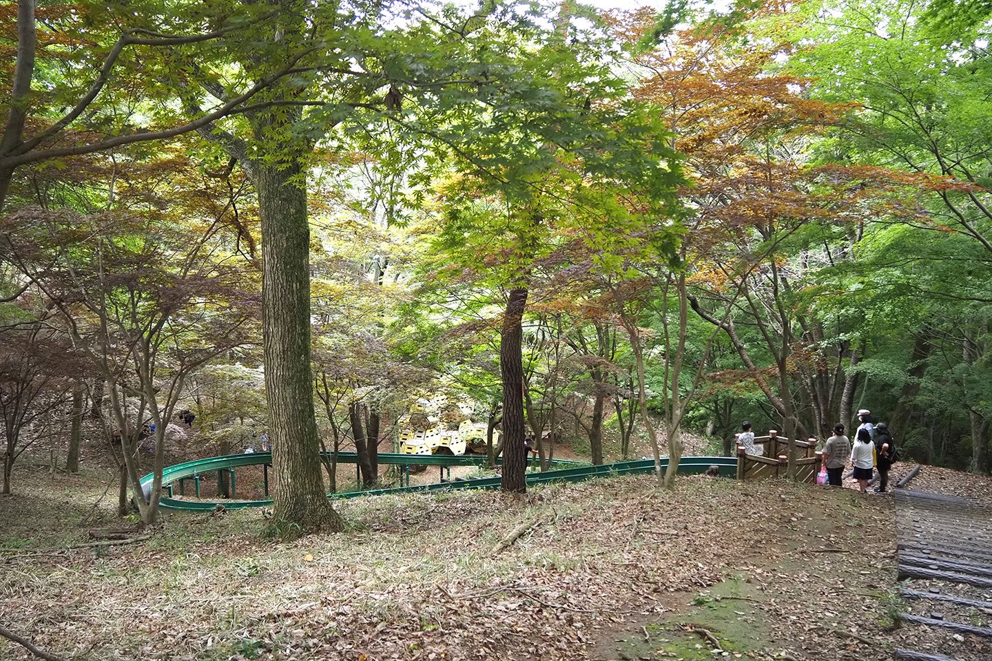 🌳 미토시 삼림공원(미토시 신린코엔) 이미지 11